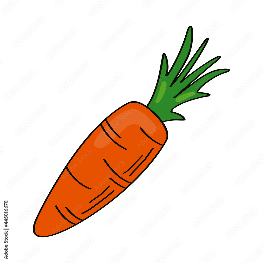 Sticker fresh carrot vegetable