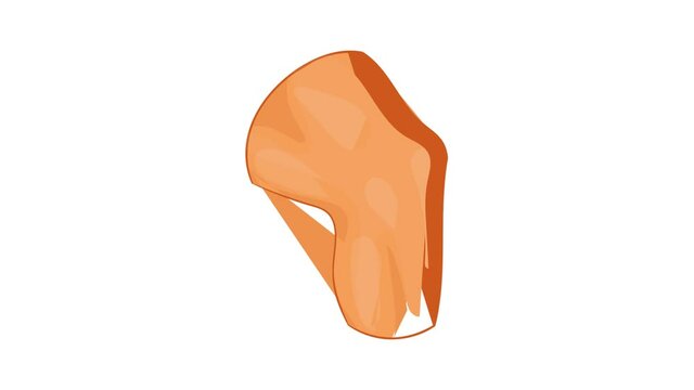 Knee icon animation cartoon best object isolated on white background