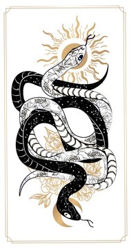 Magic snake tarot cards. magic occult esoteric astrology. Boho chic tattoo, poster, tapestry or altar veil print design vector illustration