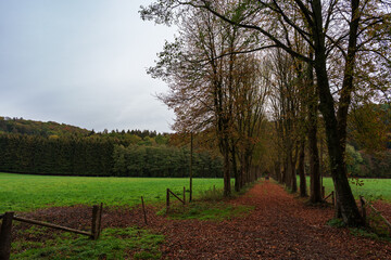 Fototapeta na wymiar Strollers in the park in autumn