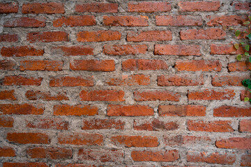 orange bricks cement wall texture background, backdrop decorating