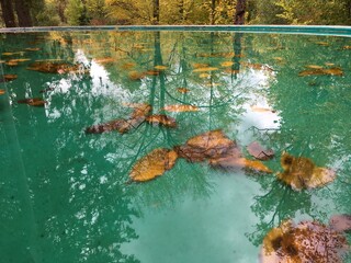 Bunte Herbstblätter schwimmen im Wasser eines grünen, runden Brunnens. Die Bäume, hinter dem Brunnen, spiegeln sich im Wasser.