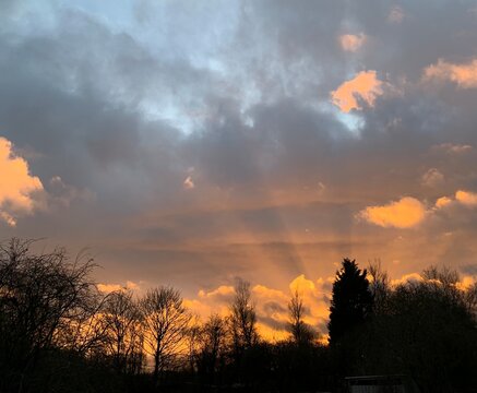 sunset in the forest