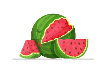 Vector illustration of watermelon isolated on white background. Illustration of a summer food concept