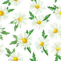 watercolor seamless pattern with chamomile flowers and leaves isolated on white background. cute print with wildflowers, simple pattern for wallpaper, fabric, scrapbooking