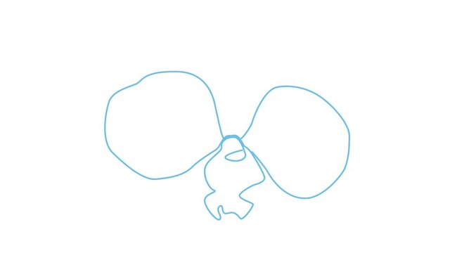 Self drawing sketch of orchid flower. Hand drawn white orchid animation on white background. Line art, thin line,