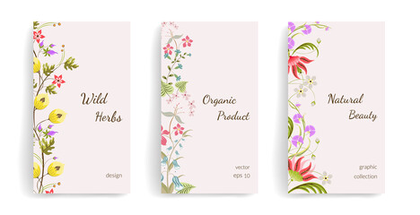 Vector template for social media posts, stories, banners, mobile apps, web and internet ads. Background with wildflowers and leaves. Spring ornament concept for greeting card, cover or invitation