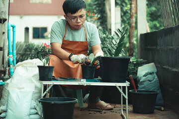 Fototapeta premium Young Asian man grows ornamental plants as his pastime on weekends.