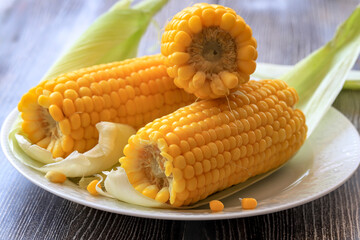 Boiled corn on a white plate