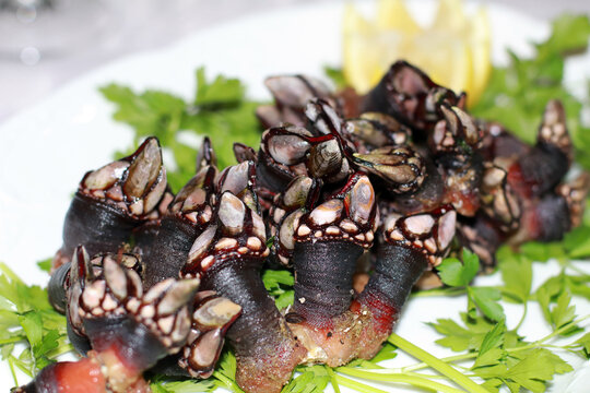 plato de percebes