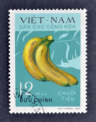 Cancelled postage stamp printed by Vietnam, that shows Chuoi Tieu bananas, circa 1970.