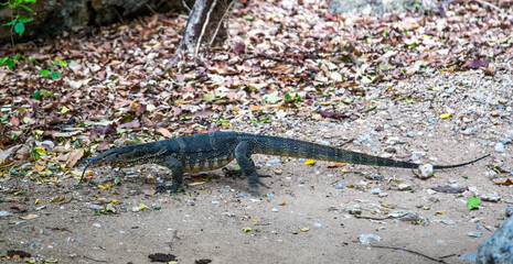 Phraya Nakhon Cave, Khua Kharuehat pavillion temple in Khao Sam Roi Yot National Park in Prachuap Khiri Khan, Thailand