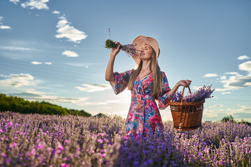 Young woman in blooming lavender field