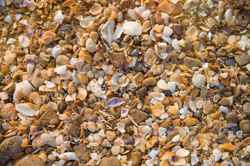 sandy beach background at the sea