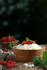 Rustic food. Cottage cheese, curd with fresh berries in wooden bowl. Red currant with mint on a wooden table. Background image, copy space