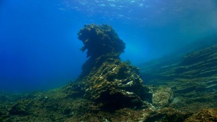 Fototapeta na wymiar Underwater rock.