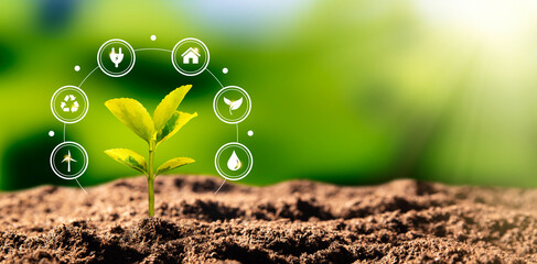 Growing plant, earth day, environmental concept