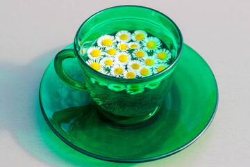 Daisy in a green cup with a saucer under bright sunlight. Summer, warm. Beautiful picture