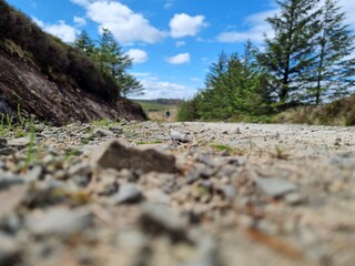 Walking in the mountains