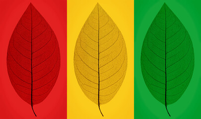Traffic light image combined with leaves.