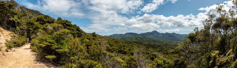 Great landscape of Great Barrier Island's highland
