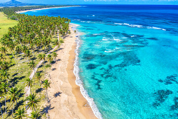 Tropical summer beach with coconut palm trees background. Aerial drone idyllic turquoise sea...