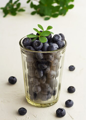 Fresh blueberries in aglass on light background