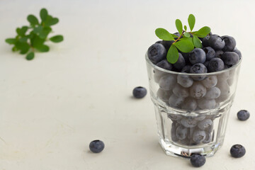 Fresh blueberries in a glass on light background with copy space