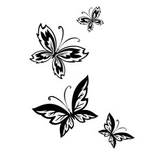 Monochrome stylized simple butterfly. Vector illustration