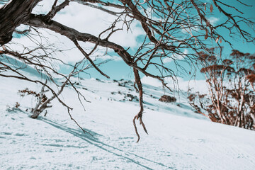 People in winter enjoying the snowy mountains where are practised plenty of activities such as skiing and snowboarding with a clear sky and some clouds on the horizon.