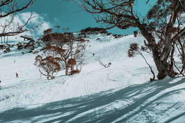 People in winter enjoying the snowy mountains where are practised plenty of activities such as skiing and snowboarding with a clear sky and some clouds on the horizon.