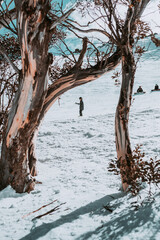 People in winter enjoying the snowy mountains where are practised plenty of activities such as skiing and snowboarding with a clear sky and some clouds on the horizon.