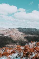 People in winter enjoying the snowy mountains where are practised plenty of activities such as skiing and snowboarding with a clear sky and some clouds on the horizon.