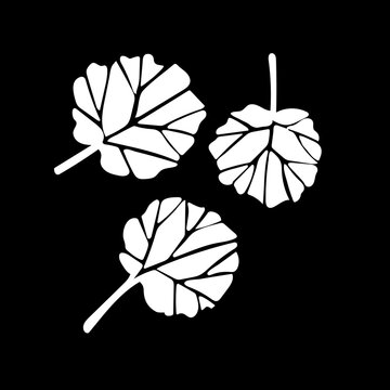 Vector image of autumn leaves. White on black background