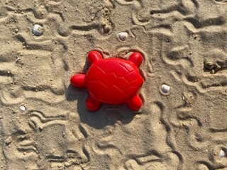 Plastic turtle figurine on the sand on the sea beach on a sunny day. A mold for children's play in...