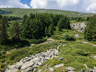 Obraz premium Aerial view of Morenite (Moraines) - Stone river at Vitosha Mountain, Bulgaria