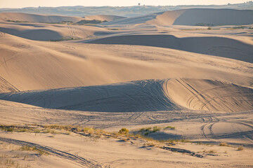 St. Anthony sand dunes, Idaho, USA
