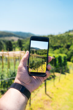 hand holding a mobile phone while taking a picture of the mountain, meadow and orchard with vivid colors during a summer day