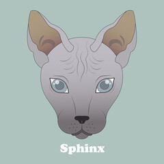 Sphinx cat. Print with cat with background.