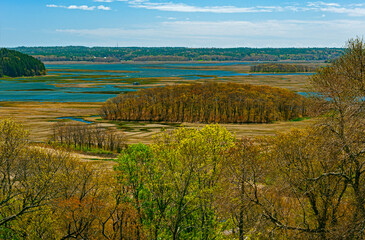 View of the Hog Island, a wildlife reservation, in Essex county, Massachusetts