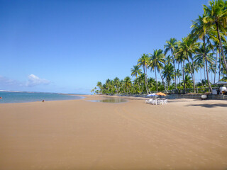 Beautiful tropical beach with clean sand, calm water and blue sky on a sunny day in tropical summer