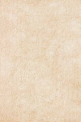 Old Paper texture. vintage paper background or texture; brown paper texture
