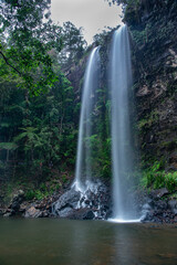 Twin Falls. The Springbrook National Park is a protected national park that is located in the Gold Coast hinterland of Queensland, Australia. 