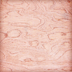 plywood texture with natural wood pattern; plywood texture for background