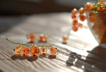 White currants in a glass vase on a wooden table. Several bunches lie on a table, illuminated by sunlight from behind.