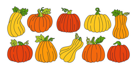 Pumpkin line cartoon set. Autumn doodle ripe whole pumpkins. Halloween or Thanksgiving Day festival symbol harvest collection. Agricultural hand drawn trendy colorful vegetable icon orange red vector