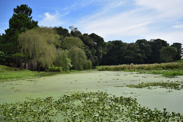 Bonito parque com lago