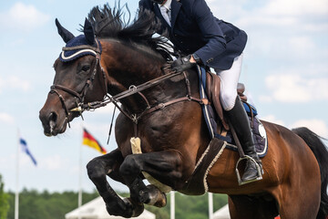 Horse Jumping, Equestrian Sports, Show Jumping themed photo.