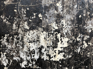 Grayscale of grunge background texture