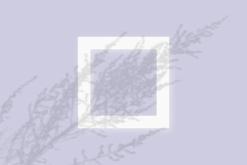 Mockup with vegetable shadows superimposed on square frame of textured white paper on a violet table background